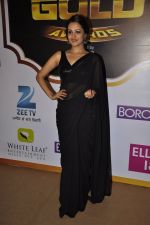 Anita Hassanandani at Gold Awards red carpet in Filmistan, Mumbai on 17th May 2014
